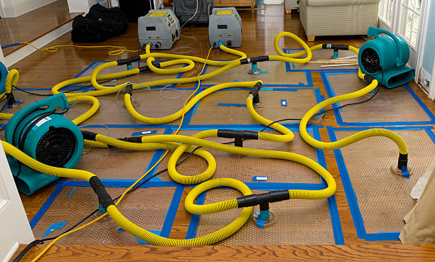 Professional Water Damage Repair technician working in Owens Cross Roads, AL